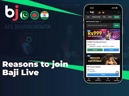 Baji Online Casino Site